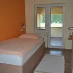Pri Vidrgarju Vace