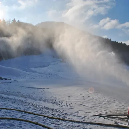 Konukevi Pri Vidrgarju 3*