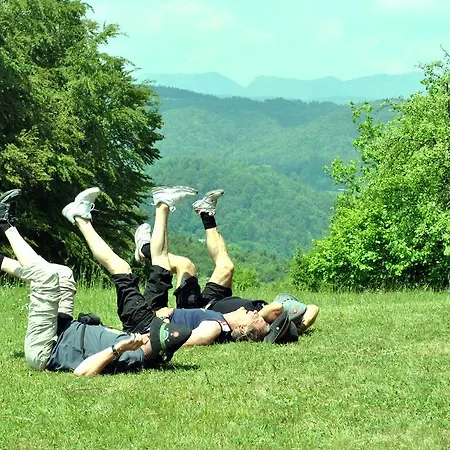 Gostinjska kuća Pri Vidrgarju 3*