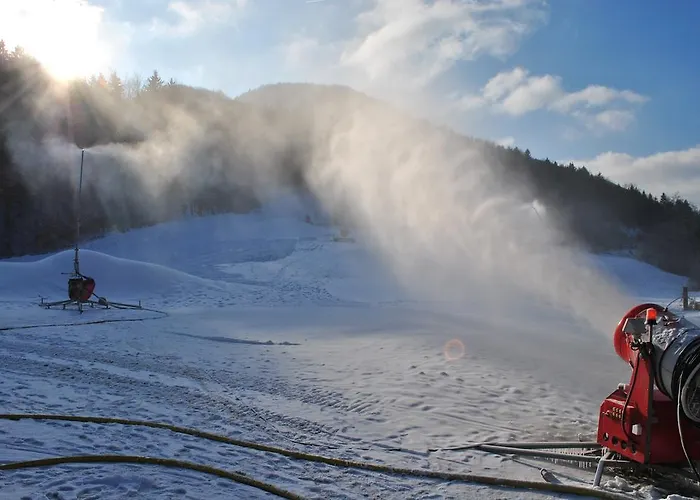 بيت ضيافة Pri Vidrgarju 3*