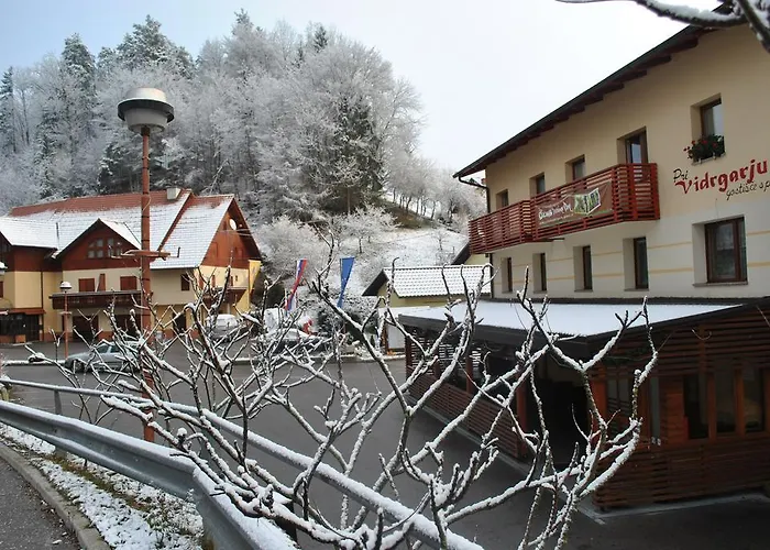 بيت ضيافة Pri Vidrgarju Vace