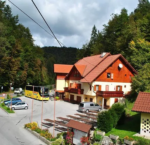 بيت ضيافة Pri Vidrgarju 3*