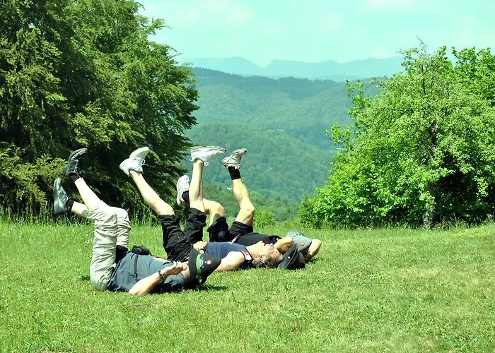 بيت ضيافة Pri Vidrgarju 3*